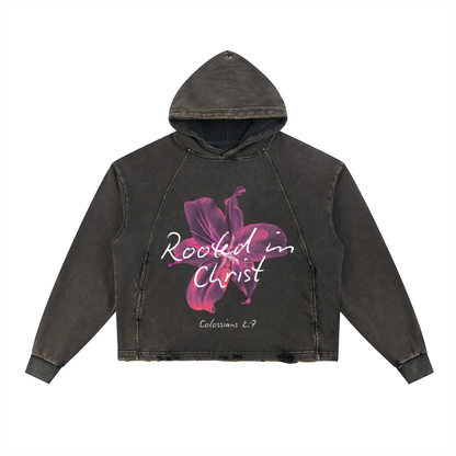 Rooted in Christ Hoodie