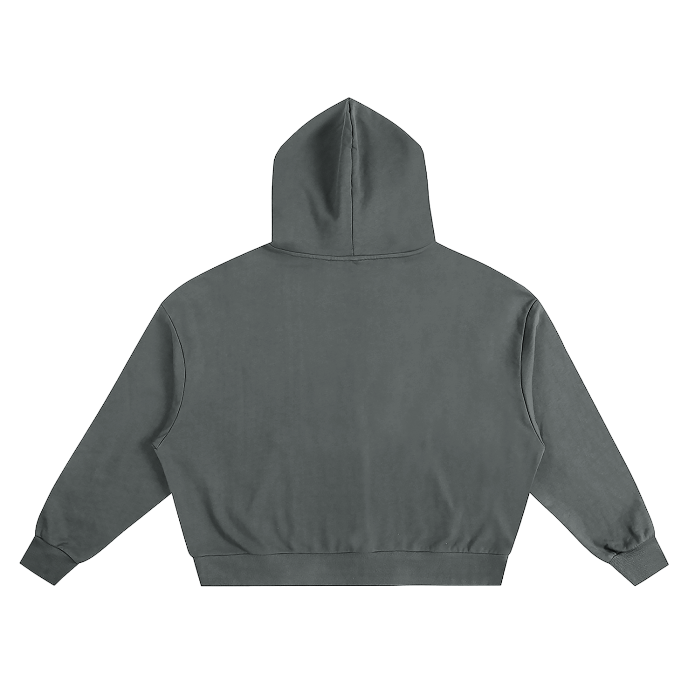 UD Chrome Boxy Hoodie