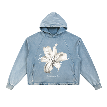 Rooted in Christ Hoodie