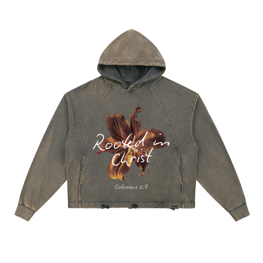 Rooted in Christ Hoodie